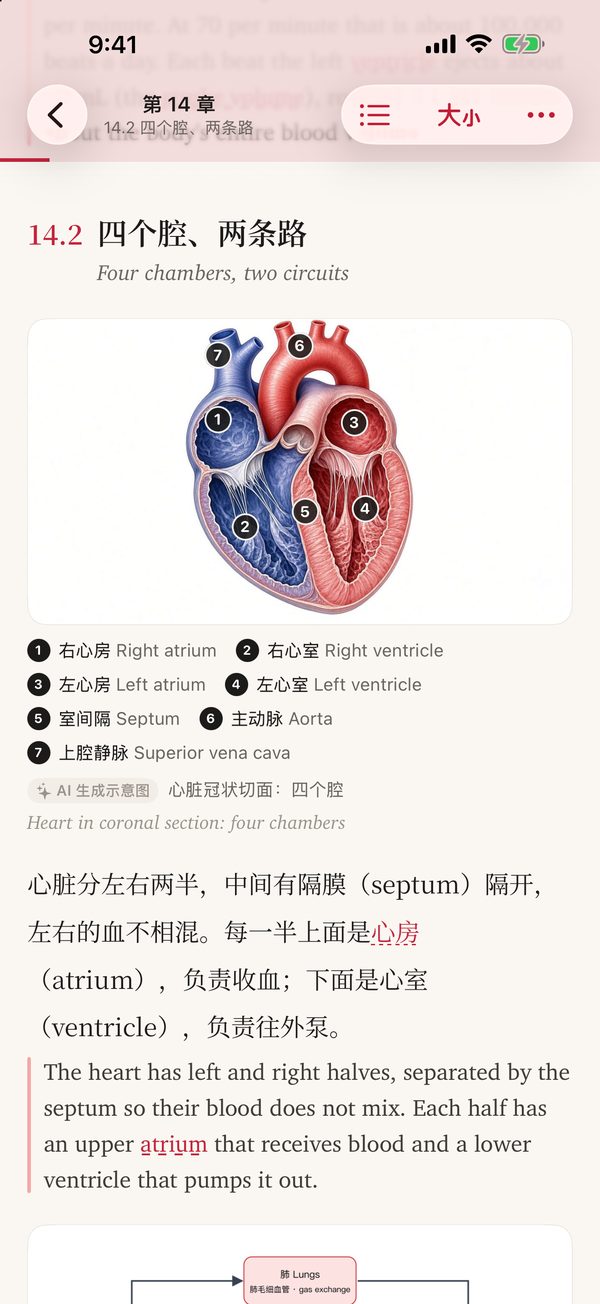 阅读页：第 14 章，中英逐段对照