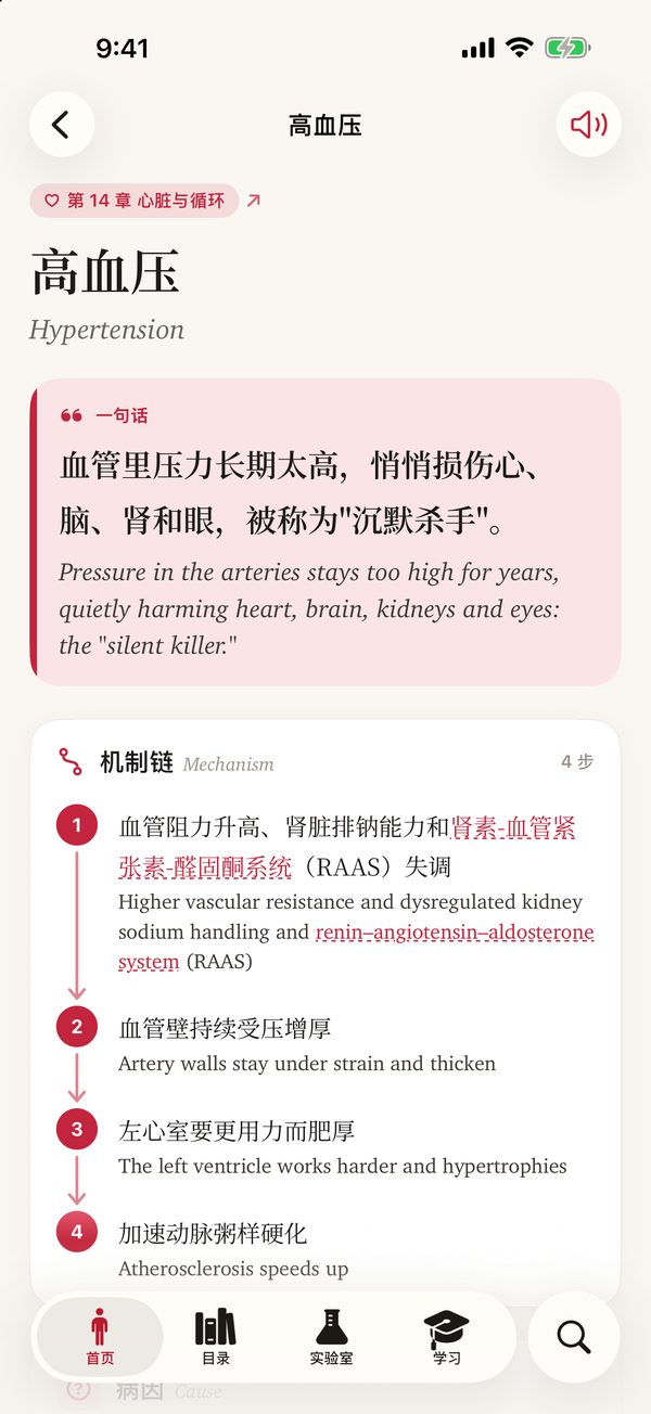 疾病图鉴：高血压