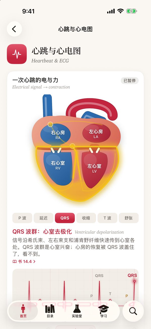 互动实验：心跳与心电图